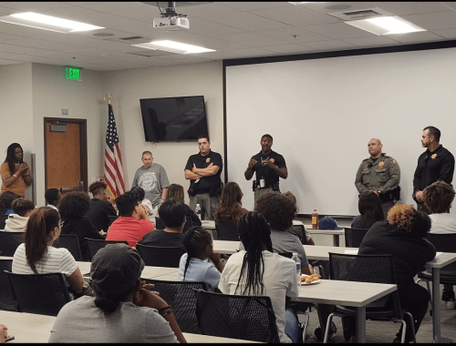 sow-images-20241014-235057~2